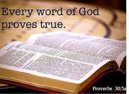 Bible with Proverbs 30a %22Every Word of God proves true%22