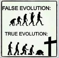 False evolution vs. true evolution